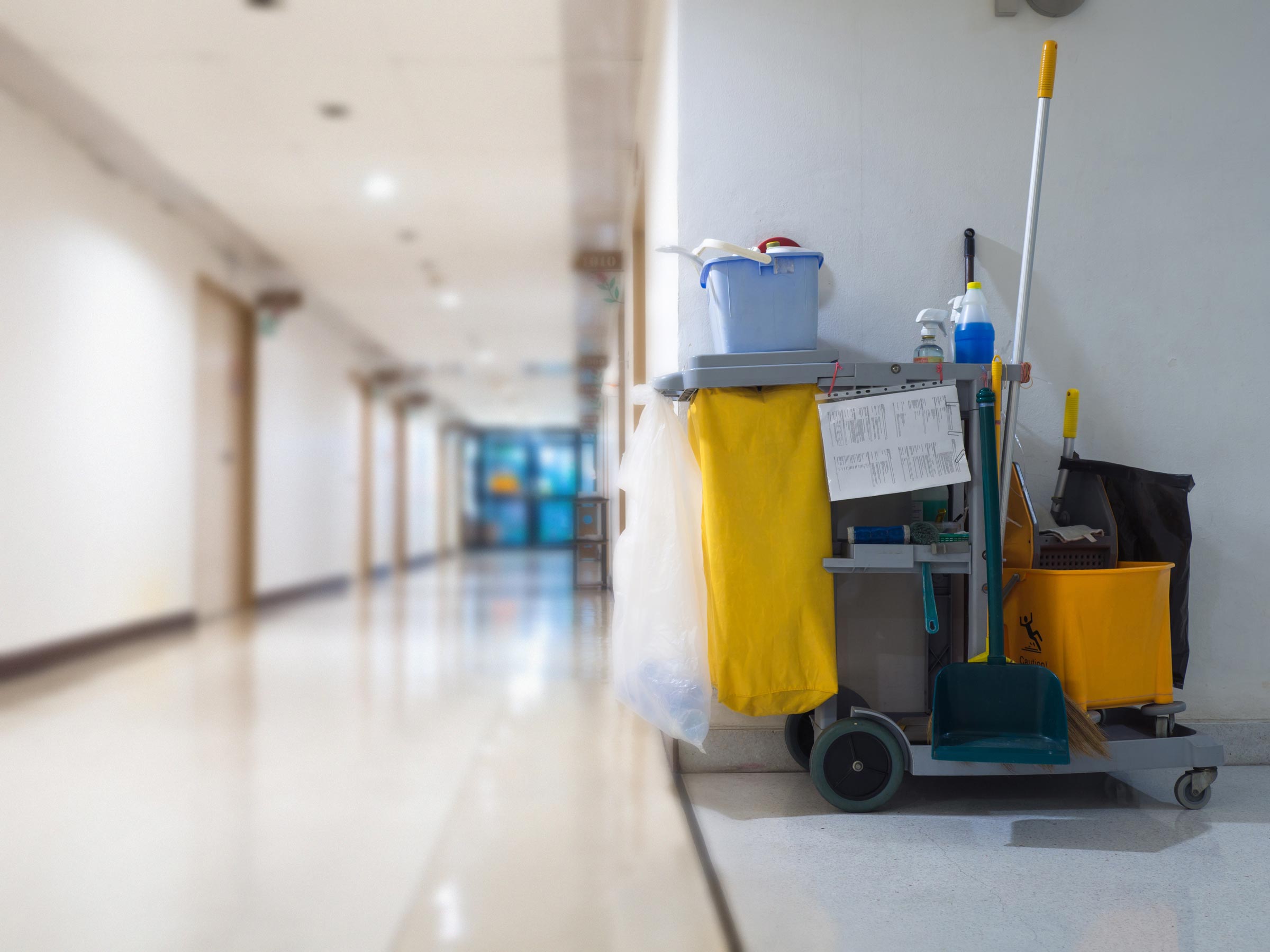 Cleaning Cart